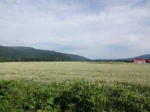 DSC02422+1
