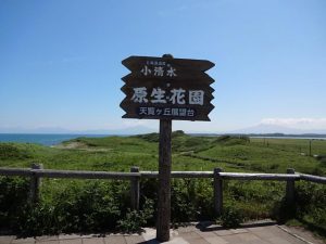 DSC02452+1