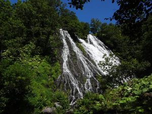 DSC02461+1
