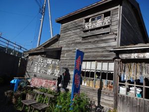 DSC02497+1