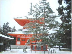 三鈷の松