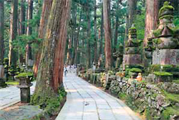 奥の院参道