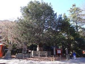 DSC02769+1