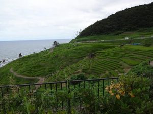 DSC03370+1