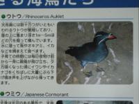 北海道23 071_640