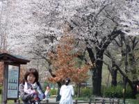 公園デビュー 003