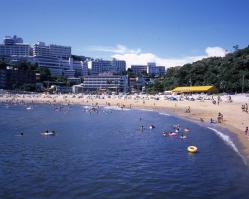 夏は海水浴客で賑わうらしい