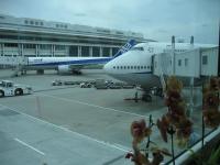 ＯＫＩＮＡＷＡ 001+1