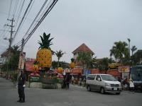 ＯＫＩＮＡＷＡ 005+1