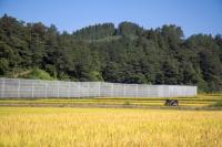 青森の田園