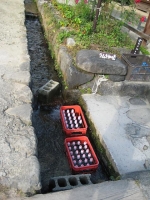 ねぎそば19