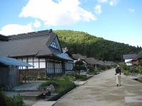 ねぎそば17