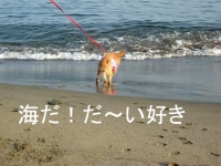 熱海9プリ1