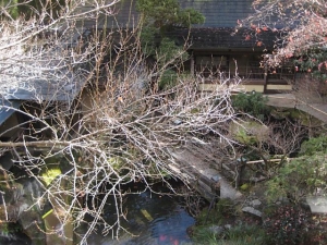 ごほうび5