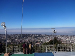 DSC00231 (1)+1