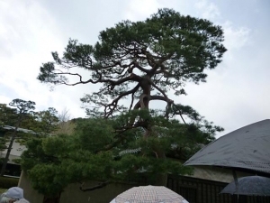 皇居 (2)