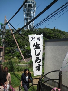江の島 (15)