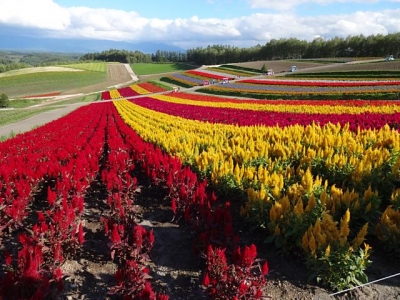 北海道2014 (19)
