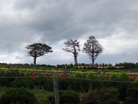 北海道2014 (3)