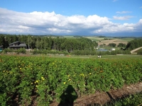 北海道2014 (16)