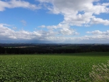 北海道2014 (9)