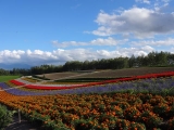 北海道2014 (22)