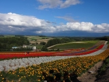 北海道2014 (23)