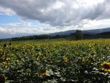 北海道2014 (24)