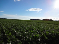 北海道2014-2 (58)