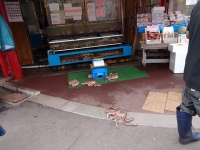 北海道2014-4 (16)
