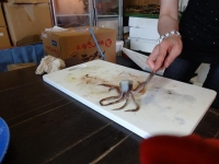 北海道2014-4 (11)
