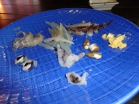 北海道2014-4 (13)