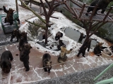 北海道2014-3 (15)