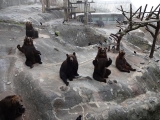 北海道2014-3 (17)