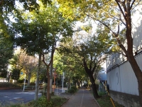 野火止めの秋 (12)