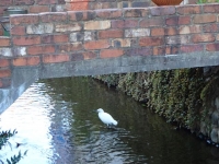 野火止めの秋 (2)