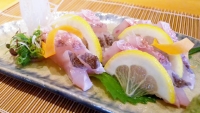 あまだい