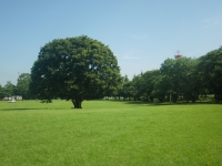 広大な敷地