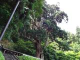 DSC00016+1.jpg