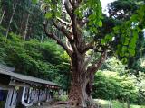 DSC00017+1.jpg