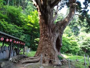 DSC00019+1.jpg