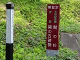 DSC00021+1.jpg