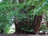 DSC00023+1.jpg