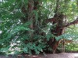 DSC00024+1.jpg