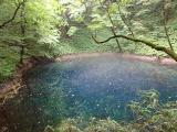 DSC00033+1.jpg