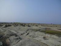 DSC00047+1.jpg
