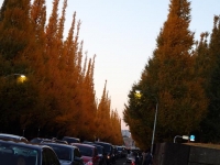DSC00130+1.jpg