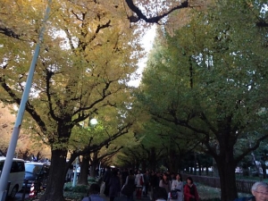 DSC00135+1.jpg
