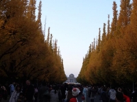 DSC00140+1.jpg