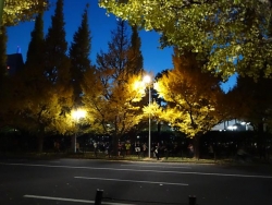 DSC00145+1.jpg
